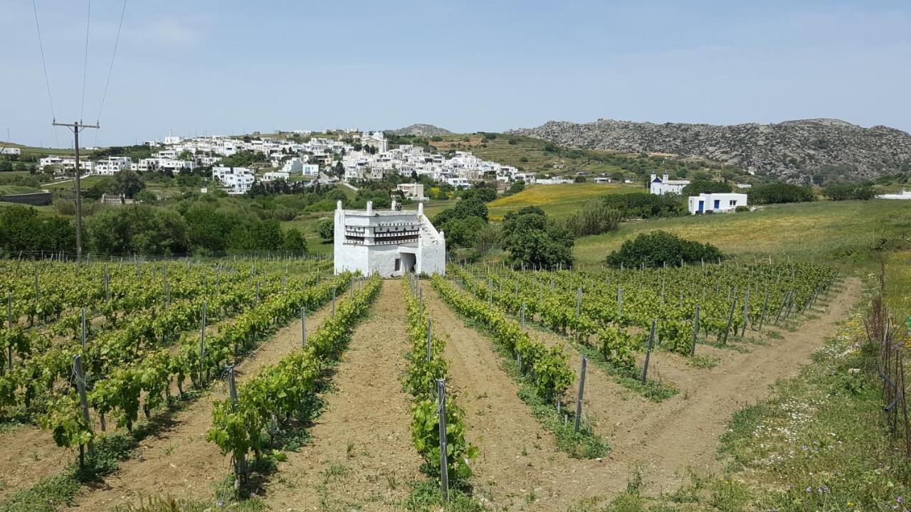 Villa Arokaria Stení Exteriör bild