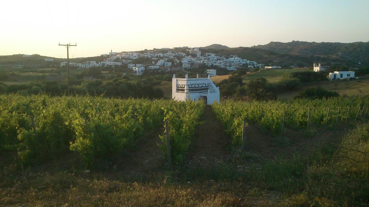 Villa Arokaria Stení Exteriör bild